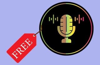 Free Online Voice Recorder